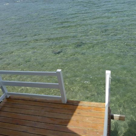 Bluefins Resort Lapu-Lapu City Kültér fotó